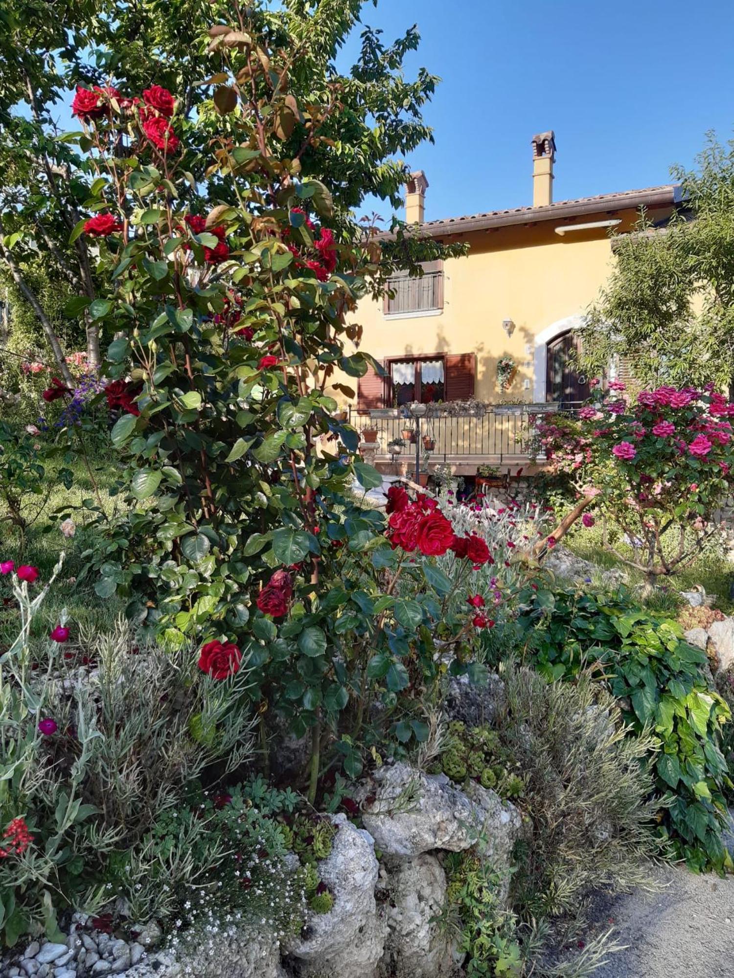 לינה וארוחת בוקר Castelvecchio Calvisio Il Girasole מראה חיצוני תמונה